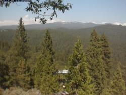 A typical (pre-fire) webcam view A typical (but not current) webcam view