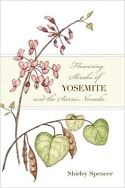 An image of a local artist's book